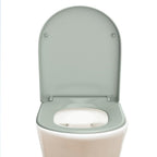 AQUALONA® Premium Thermoplastic Toilet Seat Soft Close Hardwearing Seat with Two Button Hinge Release D Shaped Easy to Clean Simple Installation Top and Bottom Fittings (Blue - D Shape)