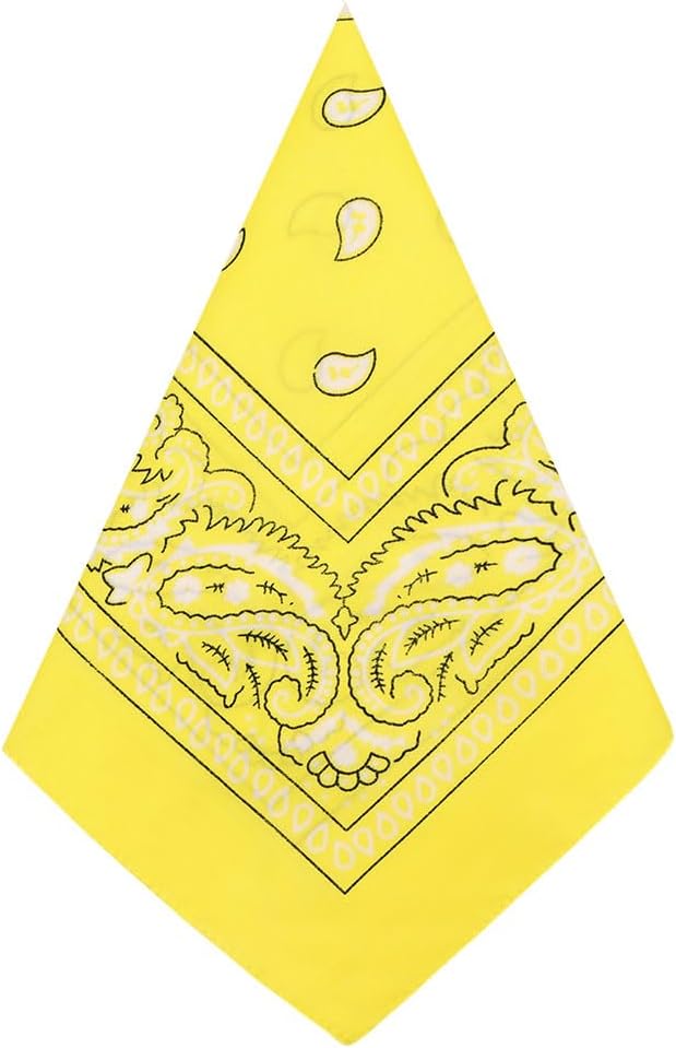 Aomig Bandana Head Scarf for Men and Women, Stylish Cowboy Headband Handkerchief, Multi-purpose Hair Scarf Paisley Print Unisex Headwraps, Bib Party Face Covering Headwear for Motorcycling