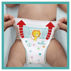 Pampers Baby-Dry Pants Size 4 Nappy Pants