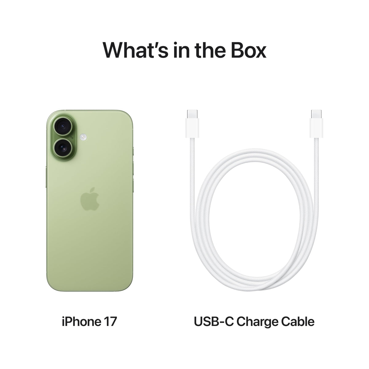 Apple iPhone 17 256 GB: 6.3-inch Display with ProMotion, A19 Chip, Center Stage Front Camera for Smarter Group Selfies, Improved Scratch Resistance, All-Day Battery Life; Sage