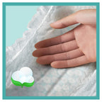 Pampers Baby-Dry Pants Size 4 Nappy Pants