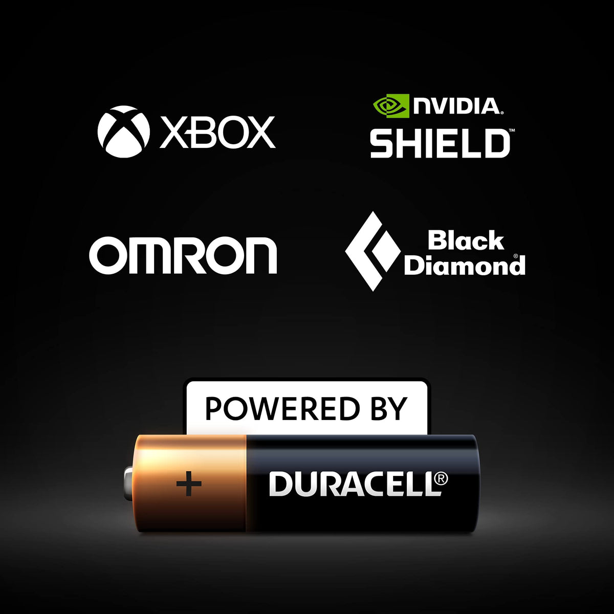 DURACELL 2450 Lithium Coin Batteries (2 Pack) 3V, CR2450