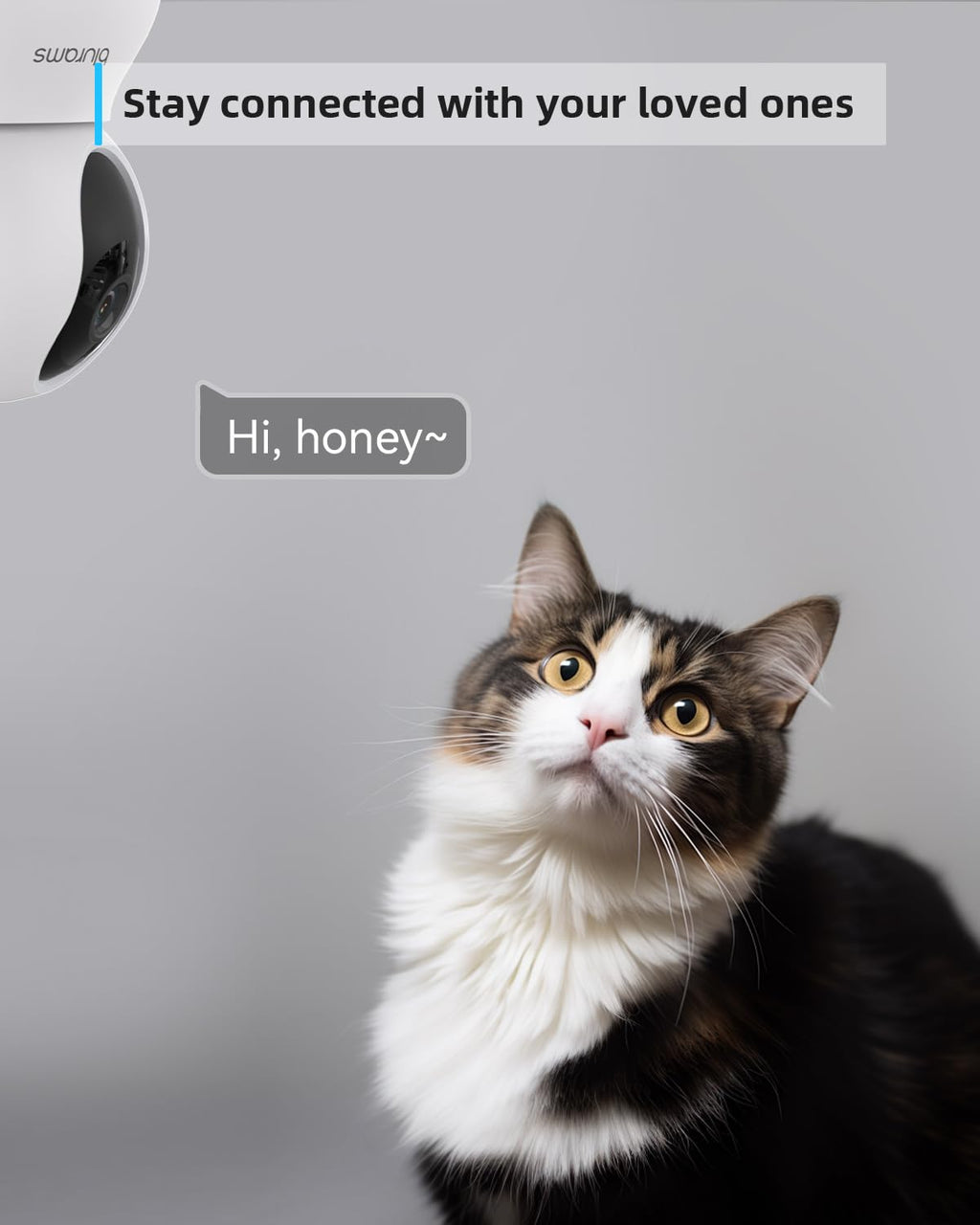 blurams Pet Camera 2K, Indoor Cameras, Dog Camera, 360° Home Security Cameras, Color Night Vision, Motion Tracking, 2-Way Talk, Cloud&SD, APP Control, Compatible with Alexa