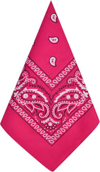 Aomig Bandana Head Scarf for Men and Women, Stylish Cowboy Headband Handkerchief, Multi-purpose Hair Scarf Paisley Print Unisex Headwraps, Bib Party Face Covering Headwear for Motorcycling