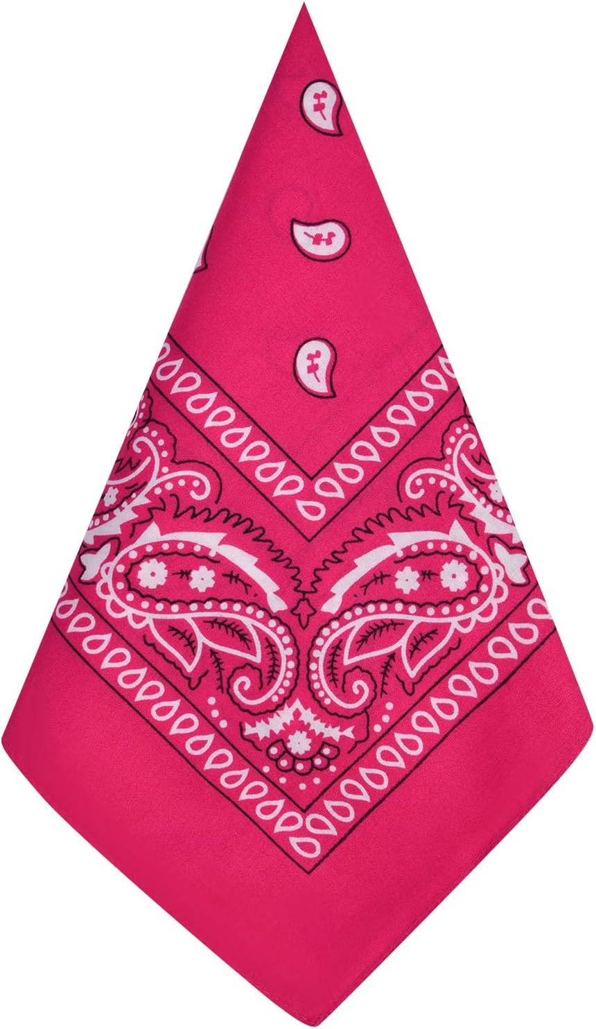 Aomig Bandana Head Scarf for Men and Women, Stylish Cowboy Headband Handkerchief, Multi-purpose Hair Scarf Paisley Print Unisex Headwraps, Bib Party Face Covering Headwear for Motorcycling