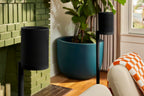 Sonos Era 100 - Wireless, Alexa Enabled Smart Speaker (White)