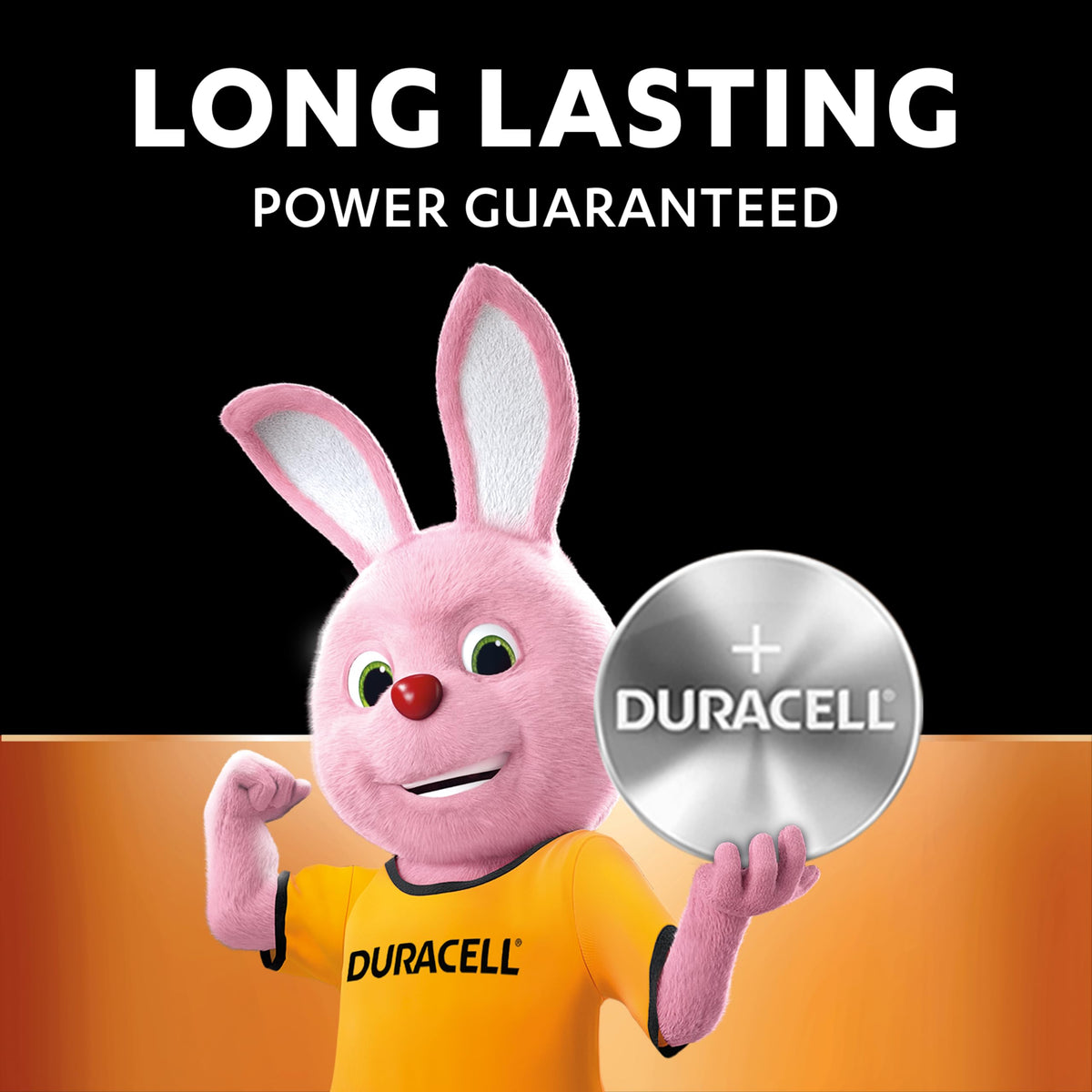 DURACELL 2450 Lithium Coin Batteries (2 Pack) 3V, CR2450