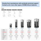 EEMB ER14505 AA 3.6V 2700mAh Lithium Battery Li-SOCL₂ Non-Rechargeable Battery SB-AA11 LS14500 TL-5903 SL-360 ER14500 for Water Electricity Meter Gas PLC Facility Equipment Spare Generic Battery (4)