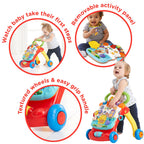 Vtech Baby First Steps Baby Walker, English