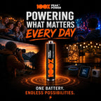 100PP AAA Batteries 40 Pack | Alkaline 1.5V Long-Lasting Power