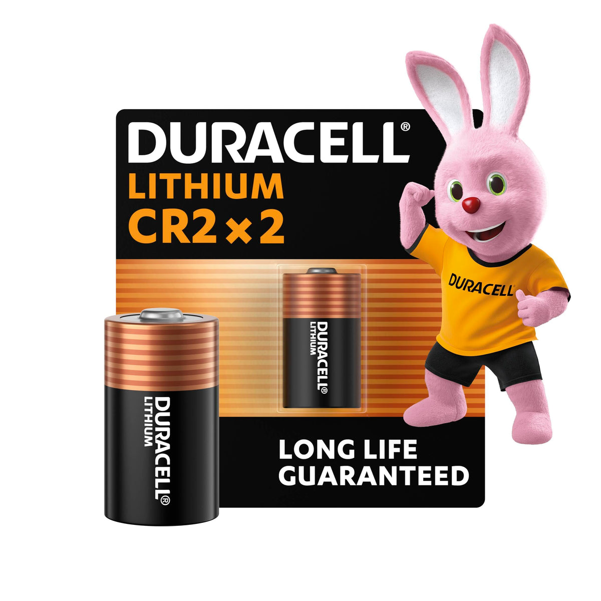 DURACELL 2450 Lithium Coin Batteries (2 Pack) 3V, CR2450