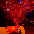 Dazzle Bright 300 LED Christmas String Lights, 100 FT Connectable Waterproof String Lights Green Wire with 8 Modes, Christmas Decorations for Indoor Outdoor Xmas Party Yard Garden (Warm White)