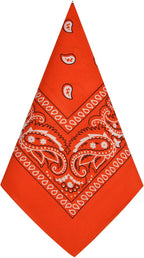 Aomig Bandana Head Scarf for Men and Women, Stylish Cowboy Headband Handkerchief, Multi-purpose Hair Scarf Paisley Print Unisex Headwraps, Bib Party Face Covering Headwear for Motorcycling