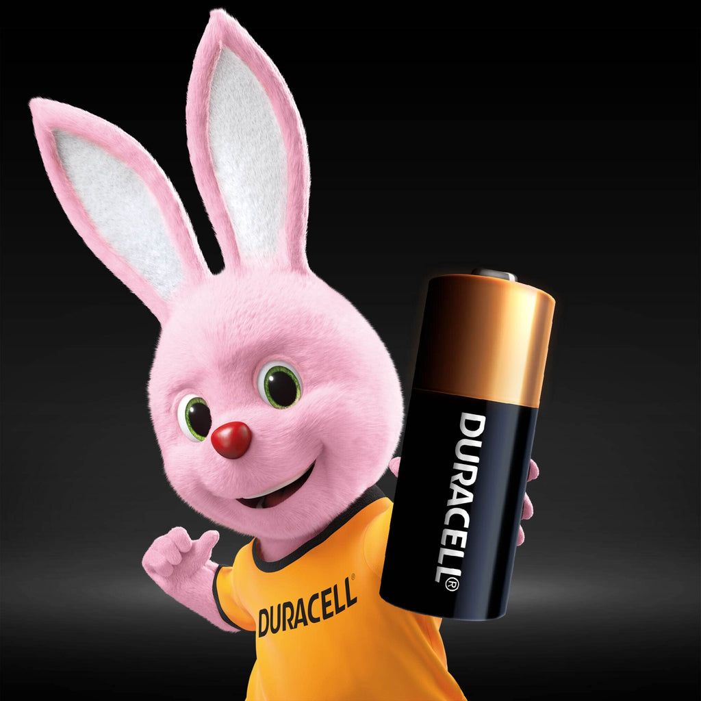 DURACELL 2450 Lithium Coin Batteries (2 Pack) 3V, CR2450