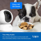 Tapo C200P2 2-Pack Full HD Indoor Security Camera Pet Camera House Security