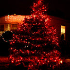 TW SHINE Warm White Christmas Lights Outdoor, 20FT 100 Count Incandescent Christmas Light Indoor, Waterproof Christmas Tree String Lights for Xmas Decorations