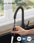 FORIOUS Kitchen Faucet with Cup Washer, Pull Down Sprayer, Brushed Nickel