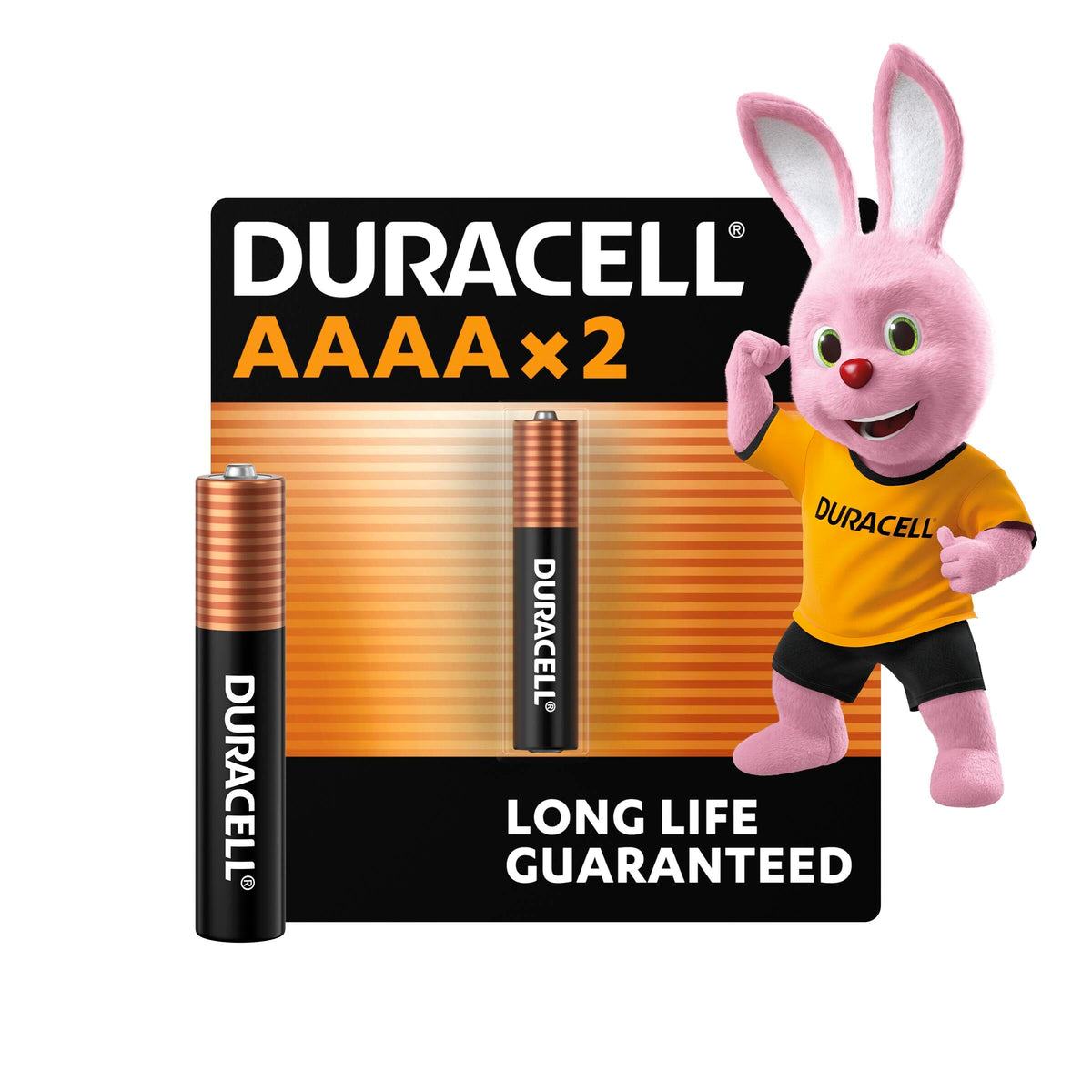 DURACELL 2450 Lithium Coin Batteries (2 Pack) 3V, CR2450