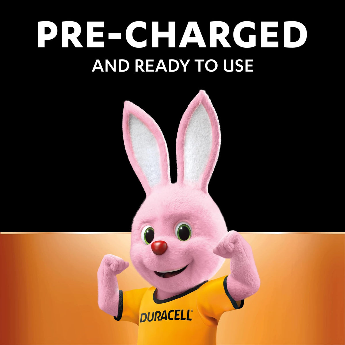 DURACELL AA Rechargeable Batteries (4 Pack) 1.2V, 2500 mAh NiMH