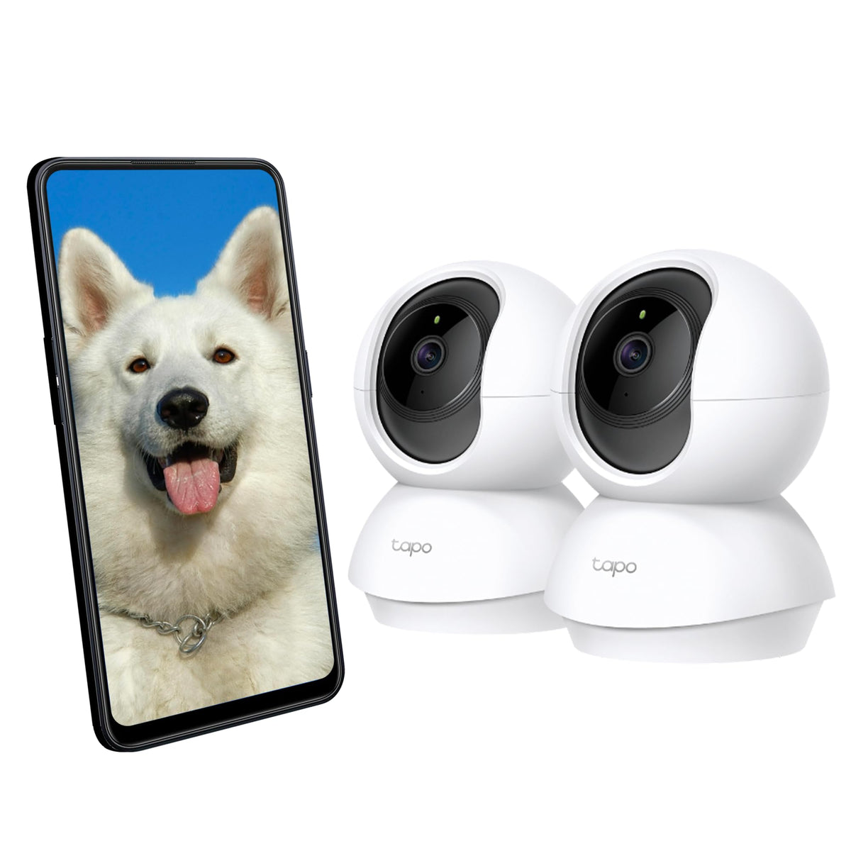 Tapo C200P2 2-Pack Full HD Indoor Security Camera Pet Camera House Security
