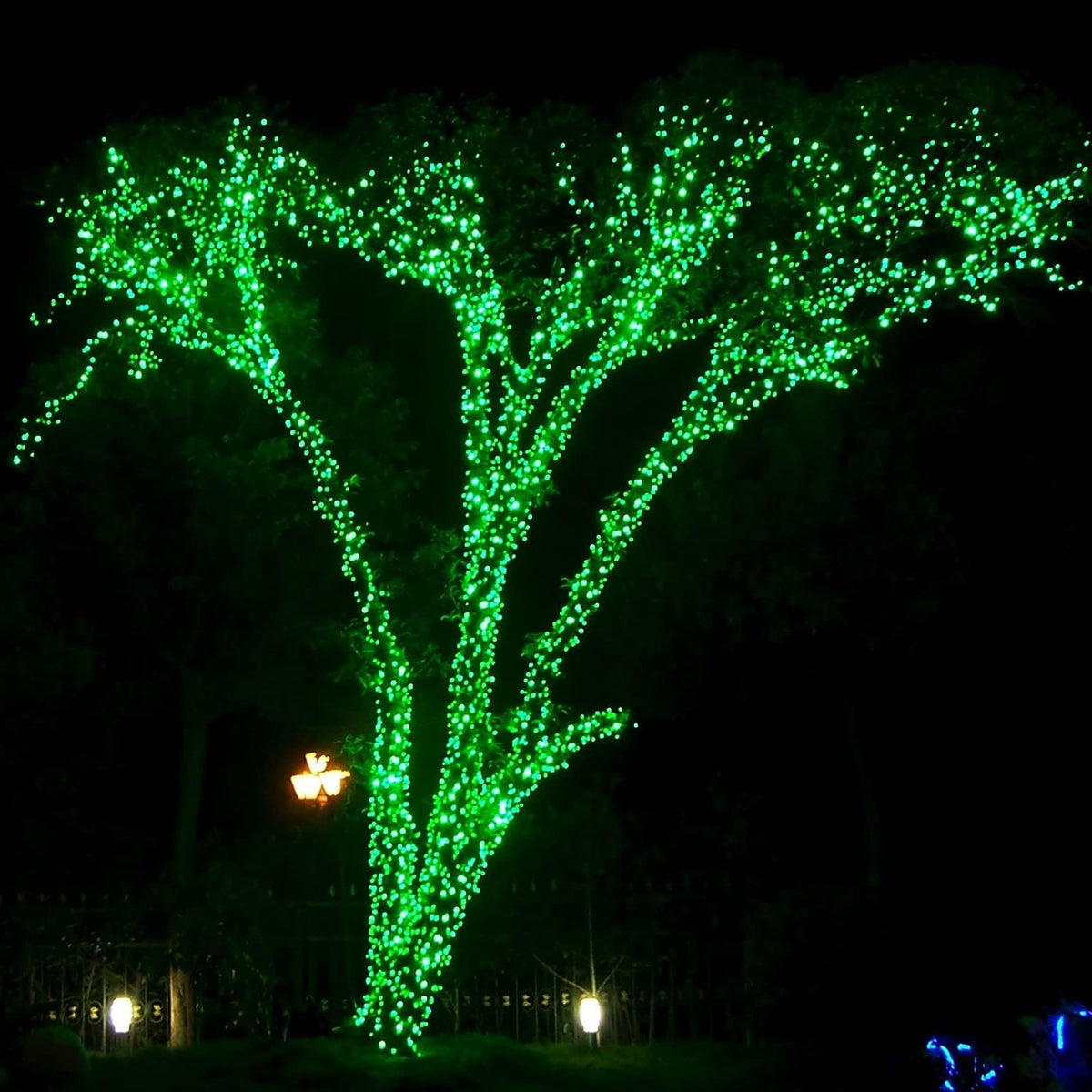 Dazzle Bright 300 LED Christmas String Lights, 100 FT Connectable Waterproof String Lights Green Wire with 8 Modes, Christmas Decorations for Indoor Outdoor Xmas Party Yard Garden (Warm White)