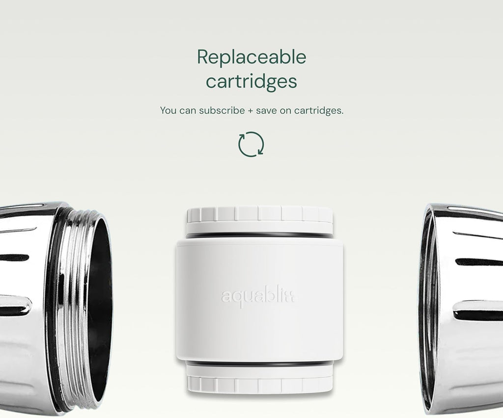 Aquabliss SFC100 Daily Revitalize Filter Cartridge