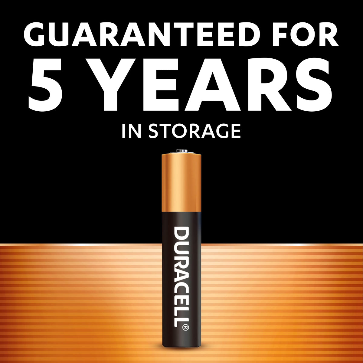 DURACELL 2450 Lithium Coin Batteries (2 Pack) 3V, CR2450