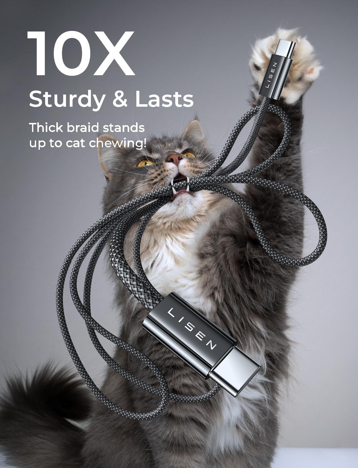 LISEN USB C to USB C Cable Charger 60W 4-Pack [0.5/1/2/2M] USBC to USBC
