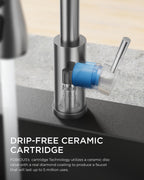 FORIOUS Kitchen Faucet with Cup Washer, Pull Down Sprayer, Brushed Nickel
