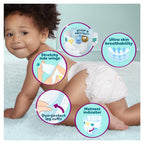 Pampers Premium Protection Nappies Size 4