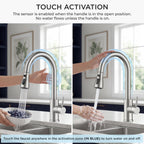 FORIOUS Kitchen Faucet with Cup Washer, Pull Down Sprayer, Brushed Nickel