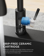 FORIOUS Kitchen Faucet with Cup Washer, Pull Down Sprayer, Brushed Nickel