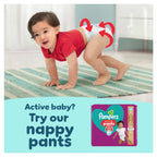 Pampers Premium Protection Nappies Size 4