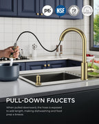 FORIOUS Kitchen Faucet with Cup Washer, Pull Down Sprayer, Brushed Nickel