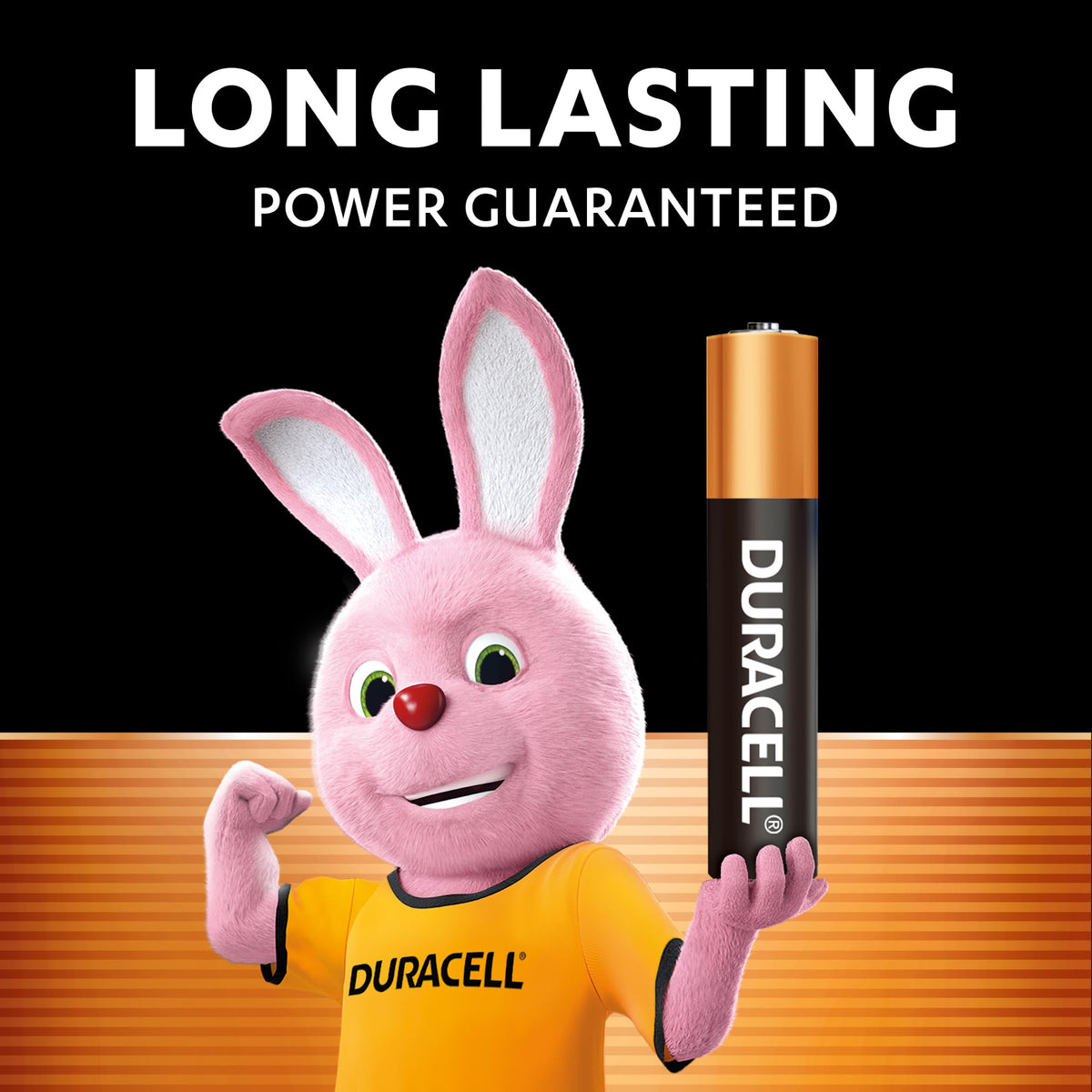 DURACELL 2450 Lithium Coin Batteries (2 Pack) 3V, CR2450