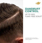 Dove Scalp + Hair Therapy Dandruff Control Shampoo, 400 ml
