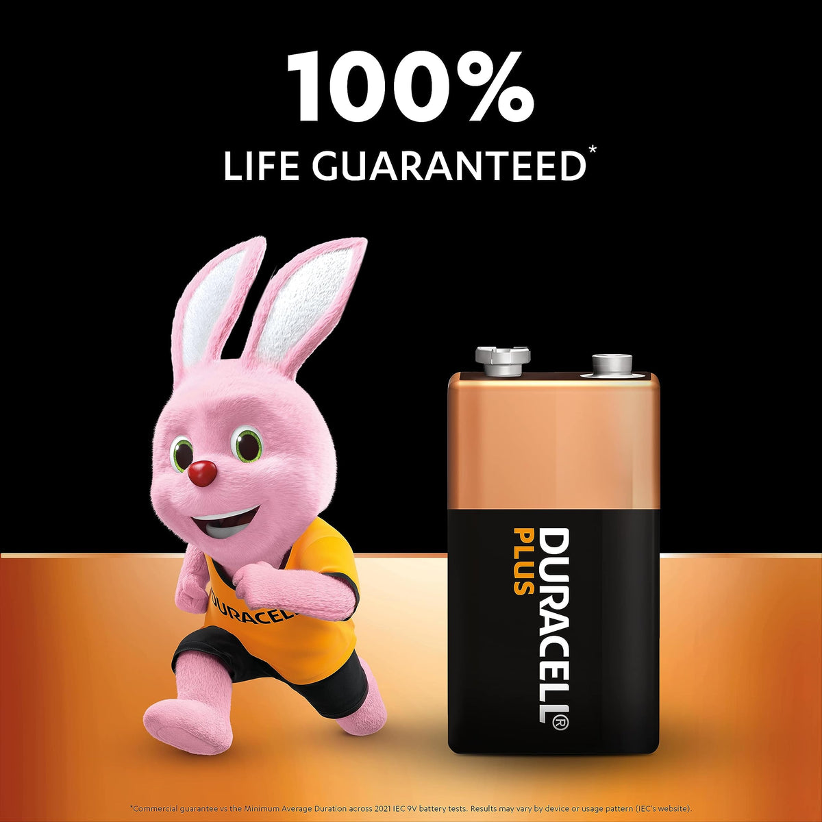 DURACELL Plus AAA Alkaline Batteries (30 Pack) 1.5V, LR03