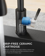 FORIOUS Kitchen Faucet with Cup Washer, Pull Down Sprayer, Brushed Nickel