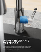FORIOUS Kitchen Faucet with Cup Washer, Pull Down Sprayer, Brushed Nickel