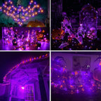 Joomer Solar Fairy Lights, 2-Pack Total 80FT 240LED Lights, Warm White