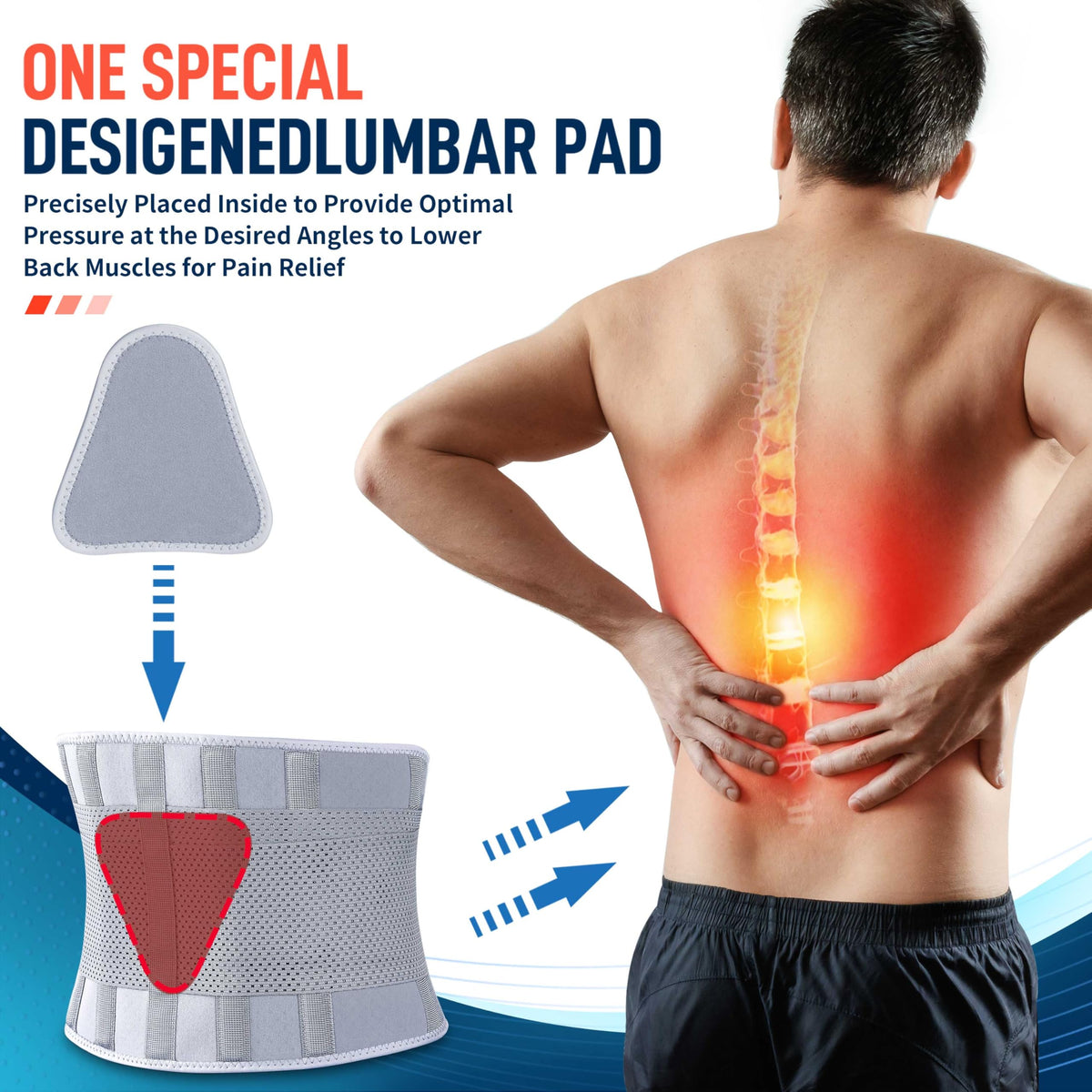 FEATOL Back Brace for Men & Women, Lower Back, Sciatica Pain Relief