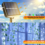Joomer Solar Fairy Lights, 2-Pack Total 80FT 240LED Lights, Warm White