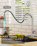 FORIOUS Kitchen Faucet with Cup Washer, Pull Down Sprayer, Brushed Nickel