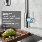 FORIOUS Kitchen Faucet with Cup Washer, Pull Down Sprayer, Brushed Nickel