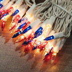 TW SHINE Warm White Christmas Lights Outdoor, 20FT 100 Count Incandescent Christmas Light Indoor, Waterproof Christmas Tree String Lights for Xmas Decorations